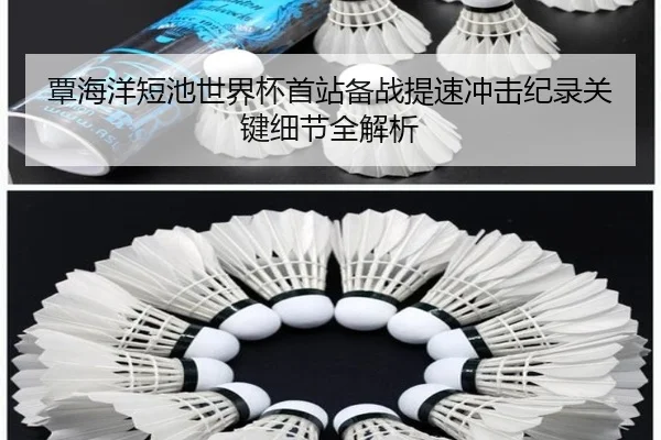 覃海洋短池世界杯首站备战提速冲击纪录关键细节全解析